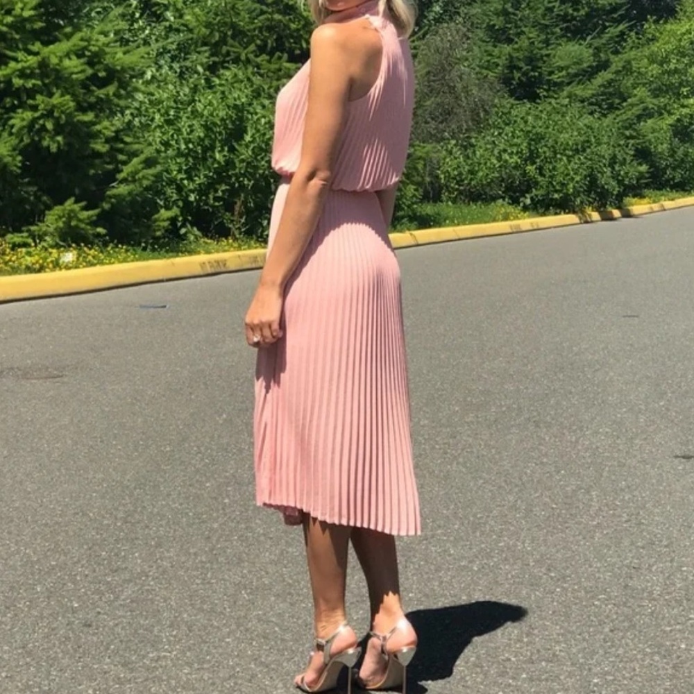 Aritzia Dusty Rose Pleated Midi Dress
